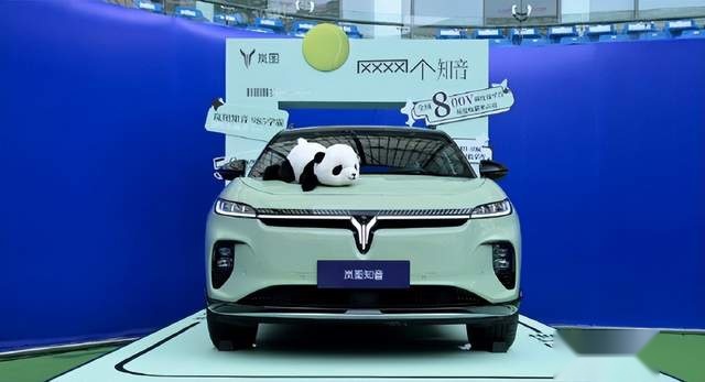 岚图知音正式上市，岚图汽车第四台新能源上市，能否卷动新能源市场？