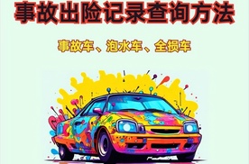 车辆事故记录如何查询？事故记录显示“骨架异常”什么原因？