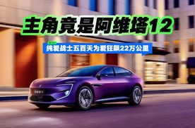 纯爱战士五百天为爱狂飙22万公里 主角竟是阿维塔12