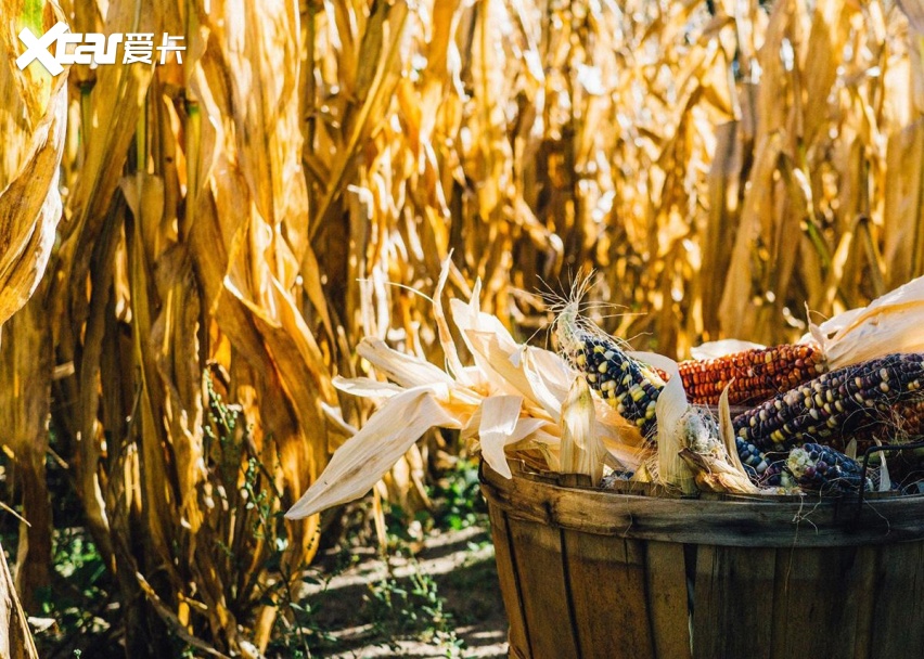 欧盟研究：合成燃料短时间内无法大规模商业化，但有存在意义！