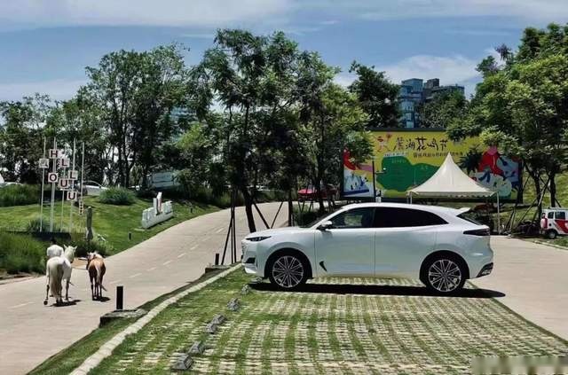 大五座SUV 谁造谁赚钱