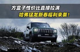 方盒子性价比直接拉满，哈弗猛龙新春福利来袭！