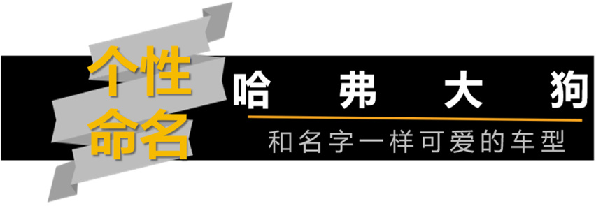 个性车型盘点--哈弗大狗/宝骏E200/红旗E-QM5
