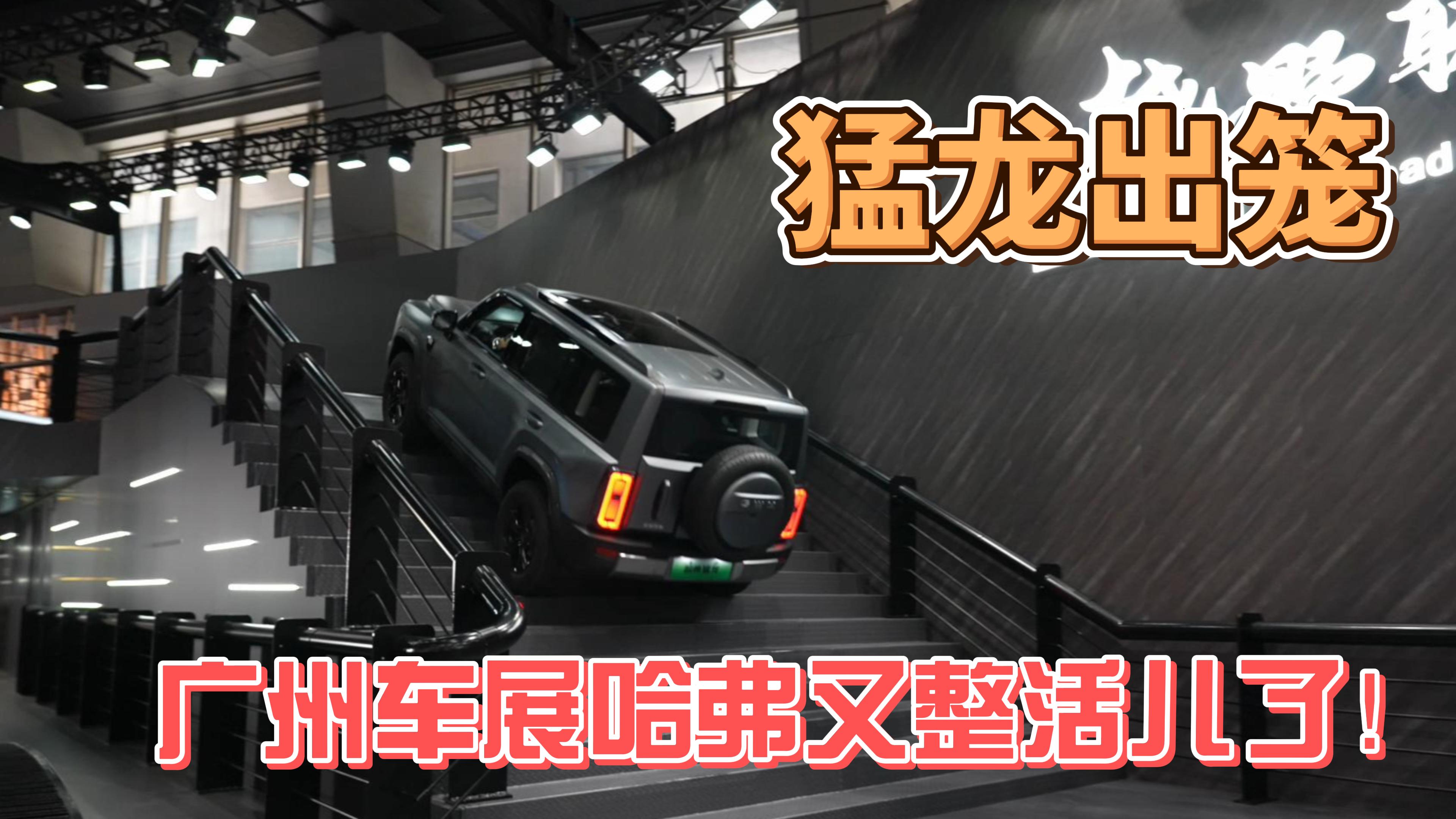 2025���ݳ�չ����������չֱ̨������������