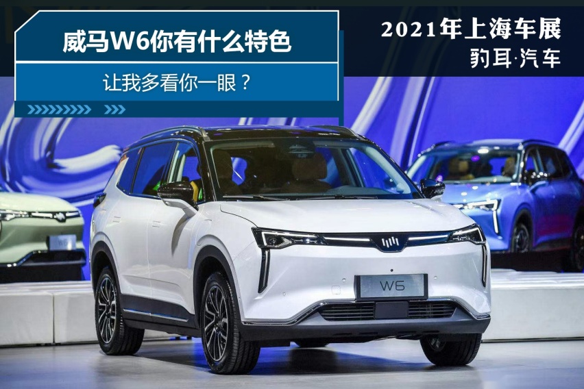 威马W6你有什么特色，让我多看你一眼？