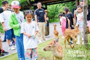2023逸行千里·第五季 东风日产全新轩逸家族幸福陪伴之旅圆满收官