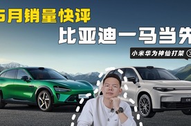 5月销量快评：比亚迪遥遥领先，小米华为“神仙打架”