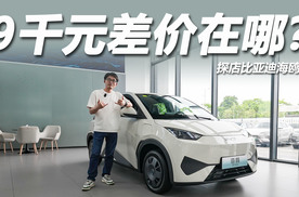 与自在版差价9000元，区别在哪里？探店比亚迪海鸥