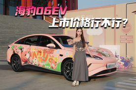 海豹06EV 上市价格行不行？
