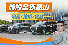 冰箱彩电大沙发齐活，全新高山售价30.98万起，家庭配置拉满！