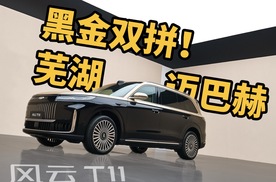 迈巴赫同款黑金配色！风云 T11百万以内无对手？