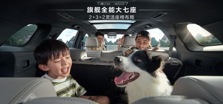主打一个均衡有道，搭载第五代DM技术，比亚迪2025款唐DM-i上市