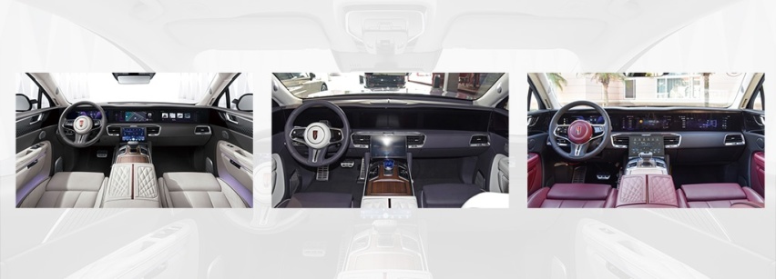 中国品牌最有气场的纯电动SUV，红旗E-HS9购车手册
