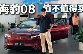 20万级买中大型轿车，海豹08到底值不值？句句都是大实话