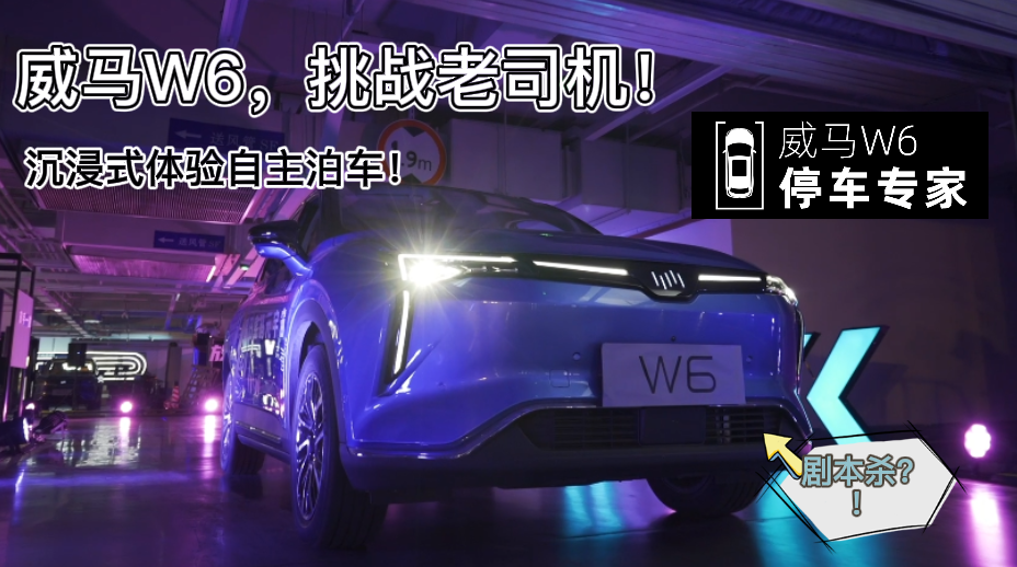 ʽwRW6܇挍p֣(zhn)˾C