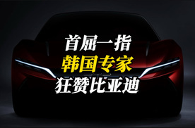 首屈一指！韩国专家狂赞比亚迪，预警背后是加重的危机感