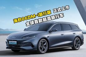 全球首款超混旅行车，海豹06DM-i旅行版正式上市