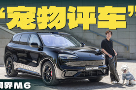 小狗深度体验问界M6，她会爱上嘛？