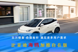百万销量 价值标杆 满足更多用户需求 比亚迪海鸥加推自在版