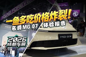 一鱼多吃价格炸裂！名爵MG07体验报告
