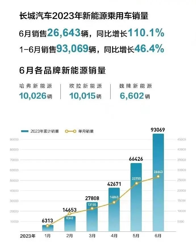 双雄势头不减 整体市场扩张 可视化数据看6月新能源汽车销量