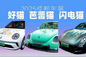 【成都车展】萌！雅！酷！欧拉“三猫”新皮肤