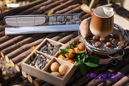 初冬上新，星有灵溪，中国星·星瑞L智擎品鉴会