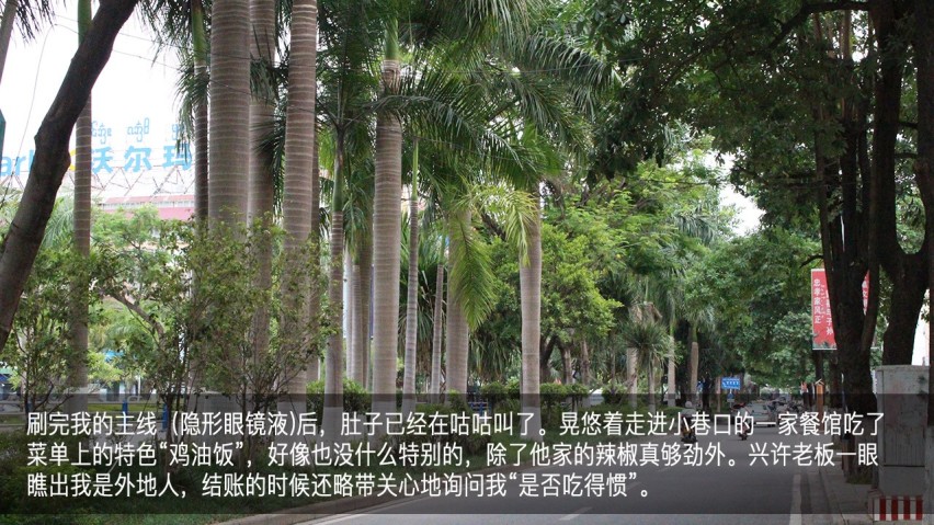 吉利幸福花田测和初恋的夏天—彩云之南西双版纳