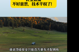 20万的车塞了百万级的安全比亚迪夏不好意思，技术平权了!