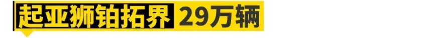 这11款国内冷门车，在国外卖爆了！