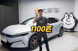 疯了，1100匹只要27万！