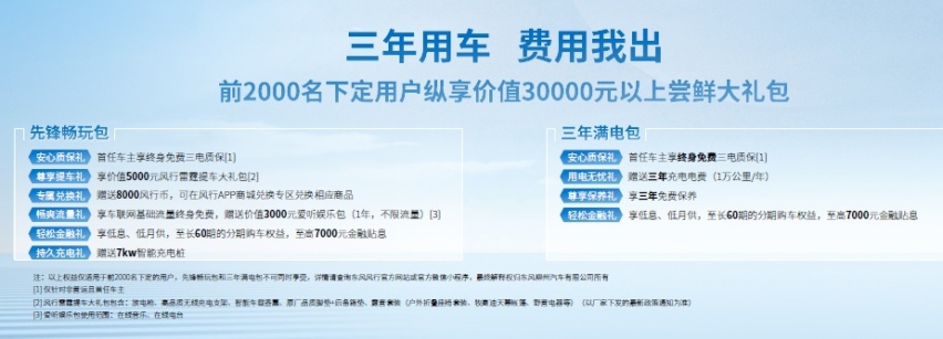 13万你还考虑燃油SUV？ 风行雷霆油电同价只为千家万户
