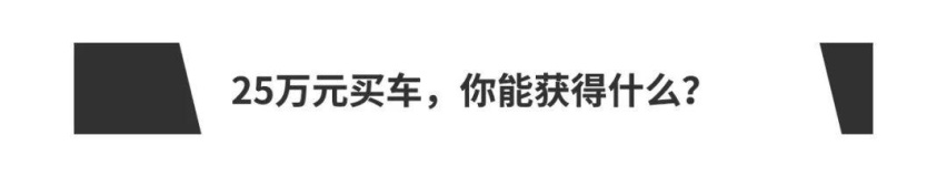 如果你有25万元，你会买国产车吗？