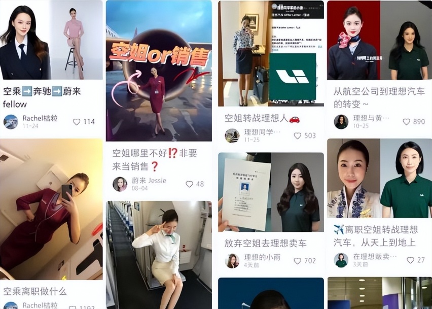 传大批空姐跳槽到新势力品牌去卖车、理想汽车成首选，是真是假？