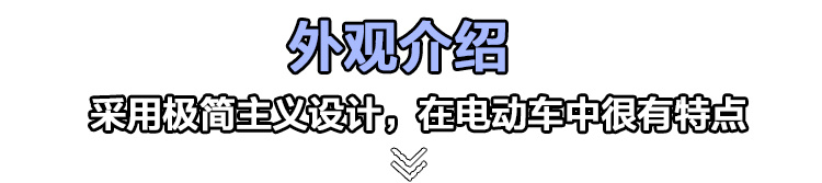 电动车中的另类，Model 3的劲敌，极星2到店实拍