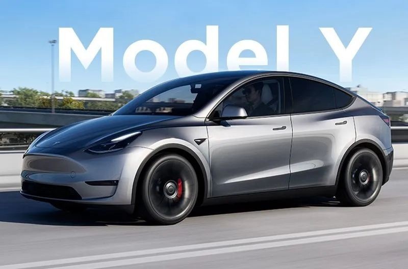 「围攻」Model Y，自主品牌吹响集结号？