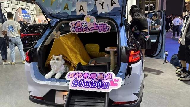 哪吒AYA宠物改装版首秀蓉城，胡恩平：打造宠物出行样板间