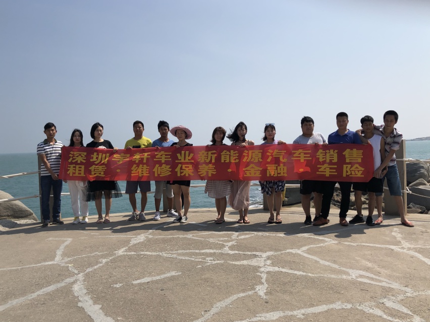 新能源汽车 纯电动面包车  新能源货运车 纯电动物流车 帅客