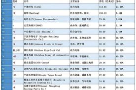 超前10年豪赌特斯拉，绍兴首富一战封神