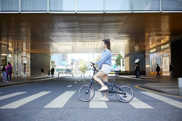 DAHON MU LX「PKA015」马甲线版