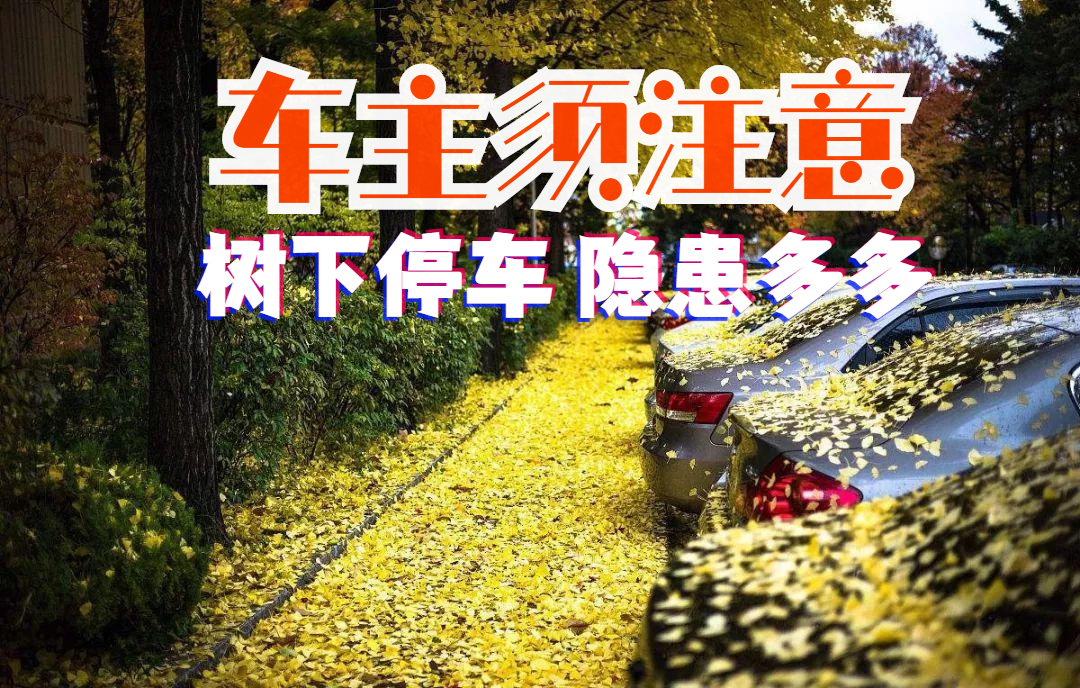 ��˾�CҲ���y�ܿ� ����ͣ܇���[���㿼�]�^�