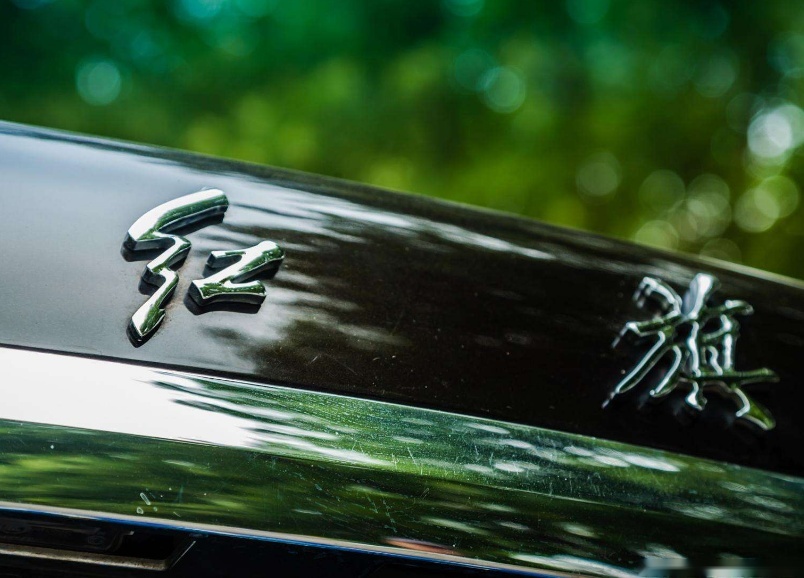 红旗E-HS9实车现身，定位大型SUV，气场媲美库里南