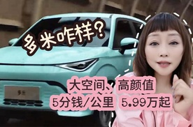 5万级真5座？5分钱每公里？多米咋样