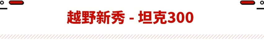 征服无人区不在话下！只有它们敢称越野车 20来万就能落地