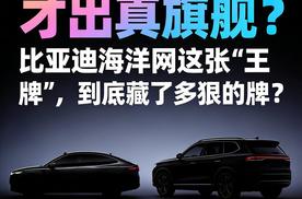 卖爆600万台才出真旗舰,比亚迪海洋网这张“王牌”,到底藏了多狠的牌