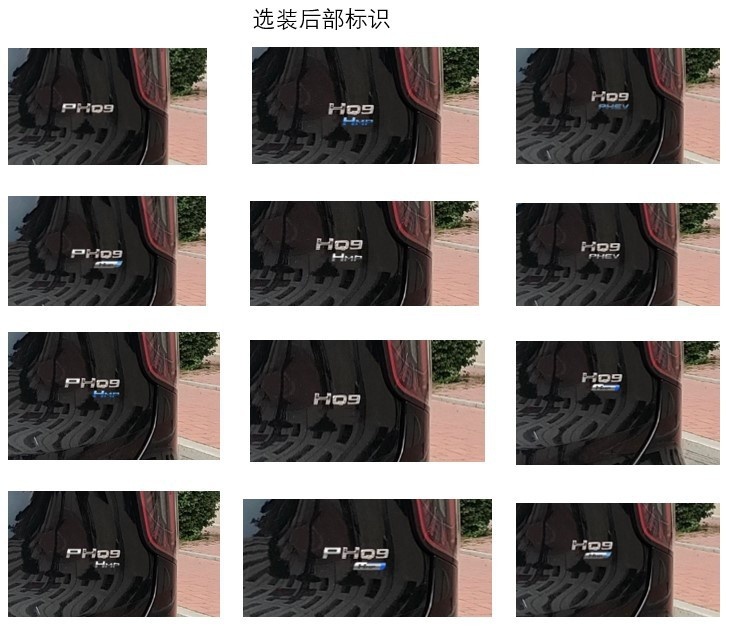 重塑豪华行政MPV，红旗HQ9 PHEV版曝光
