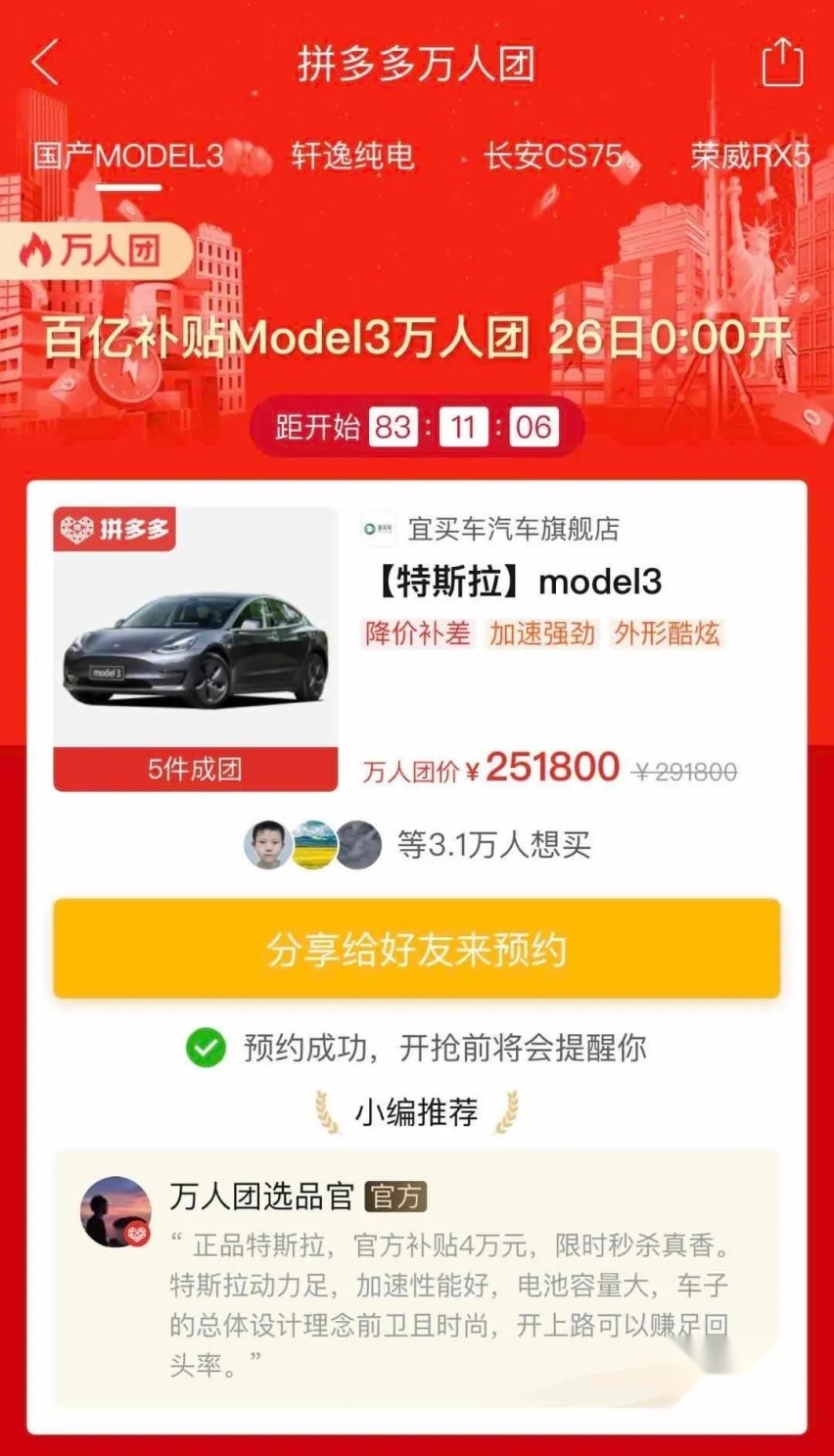 万人团Model 3，特斯拉：如有问题概不负责