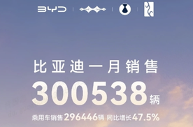 中国销冠 比亚迪2025年1月销售30万台