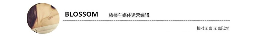 哪吒V和奇瑞小蚂蚁该怎么选?拆成零件找答案!