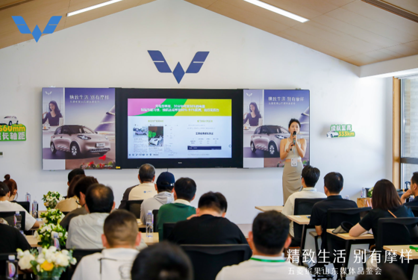 求解：想入手大空间五门纯电车！答：选五菱缤果